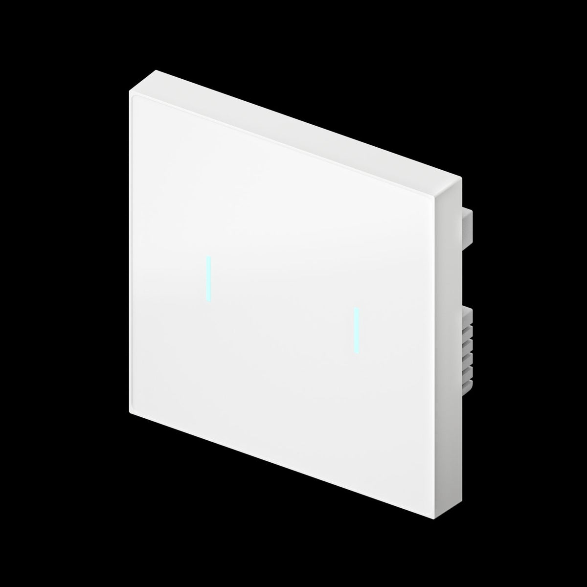 Nature Switch (MATTE) (White AG Glass - White 2 way)