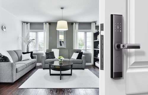 Smart Door Lock C200_24*240 without hooks-wooden door